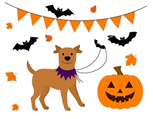 Fototapeta premium halloween pumpkin and bats