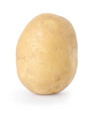 One fresh raw potato isolated on white