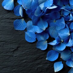 Close-up of vibrant blue flower petals on dark stone
