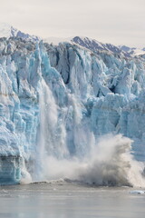 A large ice falling from the Hibbard Glacier
