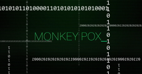Displaying green MONKEY POX_ terminal text on black grid interface, with binary code lines