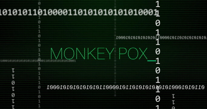Displaying green MONKEY POX_ terminal text on black grid interface, with binary code lines - Powered by Adobe