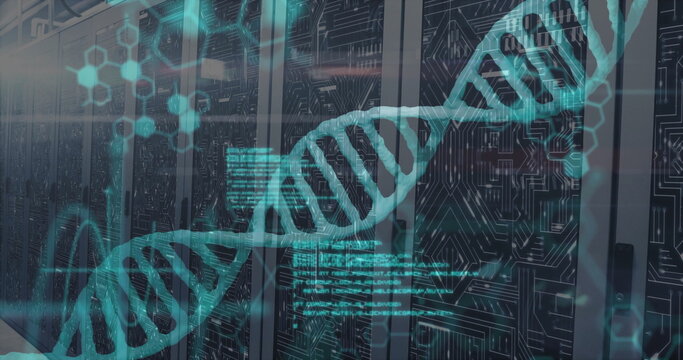 Displaying turquoise DNA double helix overlay across data center server racks, with code snippets - Powered by Adobe