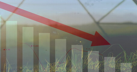 Displaying large red arrow pointing diagonally across grassy field, with bars, line graph, fence