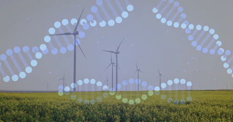 Displaying white wind turbines standing across canola field on farmland, with DNA helix graphics