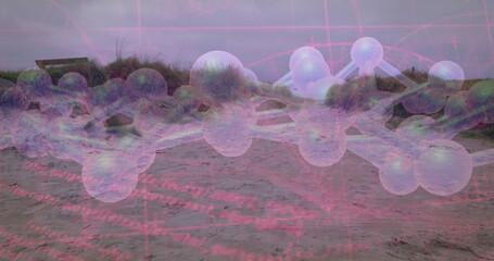 Overlaying 3D molecular model with pink code lines on coastal dune with grass and boardwalk