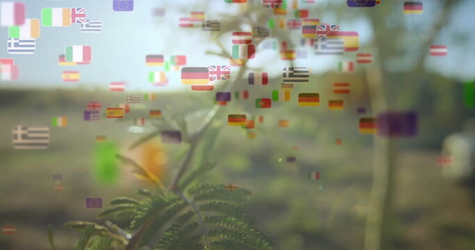 Shining slender branch showing pinnate leaves in sunlit field, floating flag icons under sun flare - Powered by Adobe