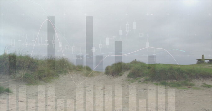 Fototapeta Winding sandy pathway cutting through grassy dunes at coastal dune area, with overcast sky