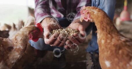 Crouching farmer in red shirt offering poultry feed to brown hens in coop, with digital overlay