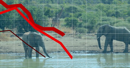 African elephants drinking from waterhole in savanna, with giraffe, grid, red line chart overlays
