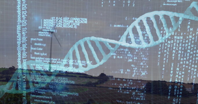 Fototapeta Displaying semi-transparent DNA helix stretching over grassy hills, with scrolling code fragments