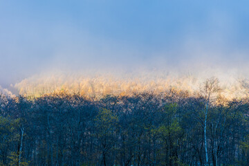 日本の風景　長野　晩秋の上高地　大正池