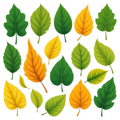 Obraz premium Colorful Assortment of Natural Leaves in Various Shapes and Sizes