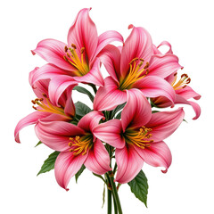 Pink Lily Bouquet with Vibrant Petals and Green Leaves Arrangement