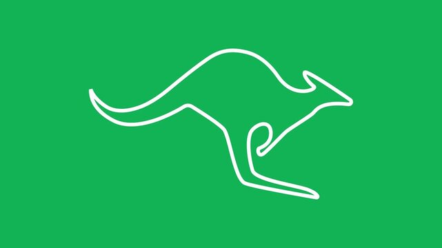 Kangaroo icon illustration isolated vector sign symbol