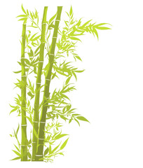 Fototapeta premium A vibrant illustration of bamboo stalks with green leaves, representing natural vegetation and eco-friendly design elements.