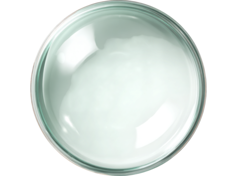 Clear glass petri dish top view laboratory science experiment, Isolated On White, Transparent Background, Png Cut Out