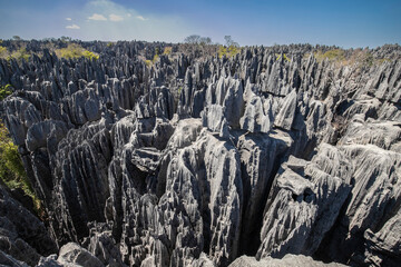 Limestone formations at Tsingy de Bemaraha National Park Madagascar