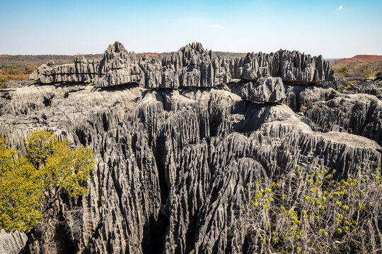 Limestone formations at Tsingy de Bemaraha National Park Madagascar - Powered by Adobe