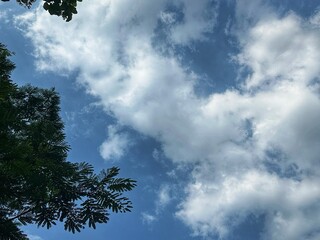 clouds in the sky