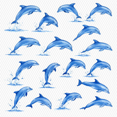 A collection of illustrated blue dolphins in various dynamic jumping and splashing poses.