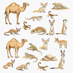 A collection of illustrated desert animals including camels, fennec foxes, meerkats, lizards, and scorpions.