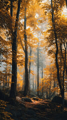 Fototapeta premium Autumn Forest with Fog and Golden Leaves on Trees on Transparent Background