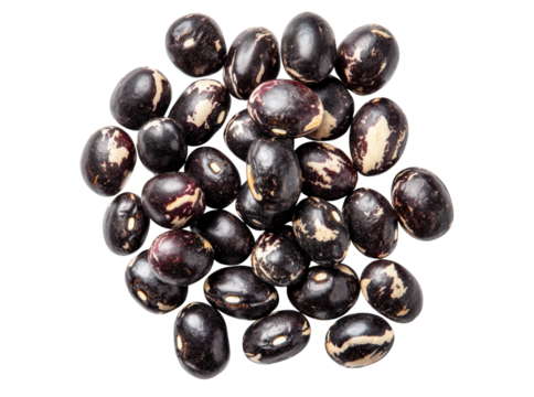 A pile of dark beans with white markings isolated on black, Isolated On White, Transparent Background, Png Cut Out