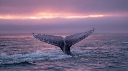 Majestic whale tail in tranquil ocean during colorful sunset