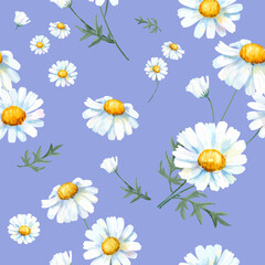 Obraz premium Watercolor chamomile flower pattern, digital paint remix
