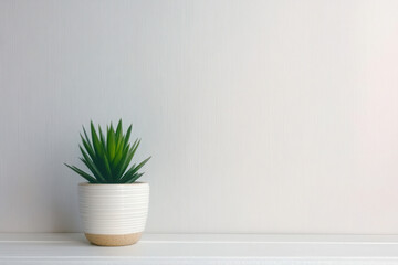Fototapeta premium Minimalist white wall with plant background