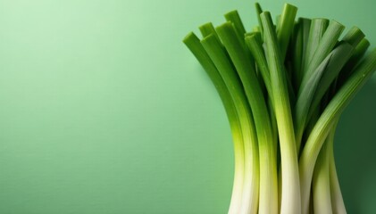 Fototapeta premium Vibrant green leeks, tightly bundled, fresh from the farm , display, detail, local