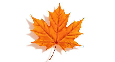 Fototapeta premium Autumn Maple Leaf: Vibrant Orange Fall Foliage