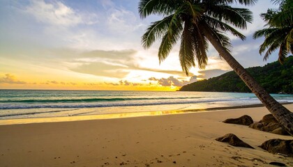 Tropical beach paradise with palm trees at sunset twilight