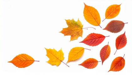Fototapeta premium Colorful autumn leaves scattered on white background, creating a vibrant fall design.