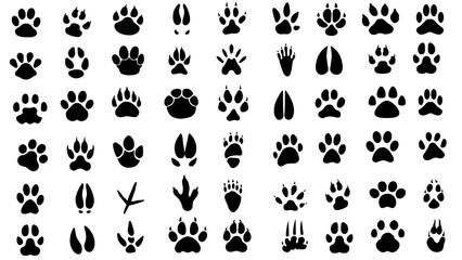 animal paw print Vector illustration of diverse animal  tracks, ideal for educational content, wildlife projects.