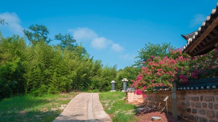 전통 한국의 한옥(사당)에 핀 여름꽃 배롱나무꽃
