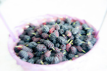Picked mulberries, a fruit filled with antioxidants and healthy nutrients, ready for making jam &mdash; close-up photo focused in the middle with a blurred surround.