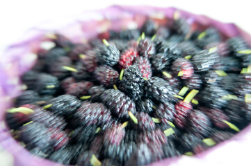 Picked mulberries, a fruit filled with antioxidants and healthy nutrients, ready for making jam &mdash; close-up photo focused in the middle with a blurred surround.