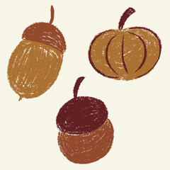 Autumn acorns and pumpkin set. Fall colorful chalk scribble drawing forest collection. Pencil texture grunge freehand childish elements. Crayon textured kids isolated vector illustration