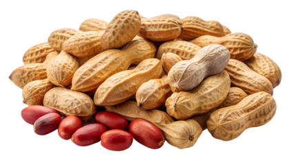 peanuts on white background