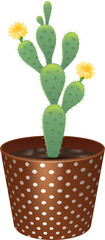 cactus in a pot with a flower