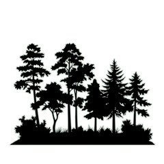 A black silhouette of a small forest grove, featuring various pine and deciduous trees with undergrowth on a white background.