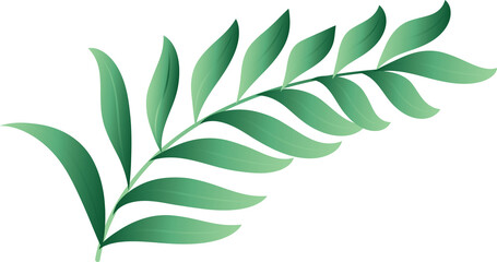 vector illustration of a stem of multiple unique green leaves