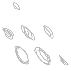 Hand drawn scribble ovals design element transparent png