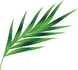 vector illustration of a stem of multiple green leaf