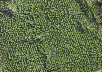 Top View Aerial Photograph