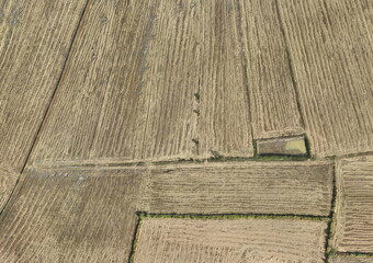 Top View Aerial Photograph