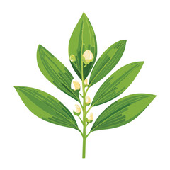 Green Plant with Small White Flowers