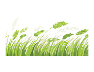 Wind blowing through fresh green grass blades